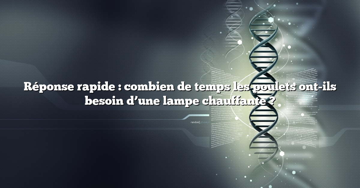 Réponse rapide : combien de temps les poulets ont-ils besoin d’une lampe chauffante ?